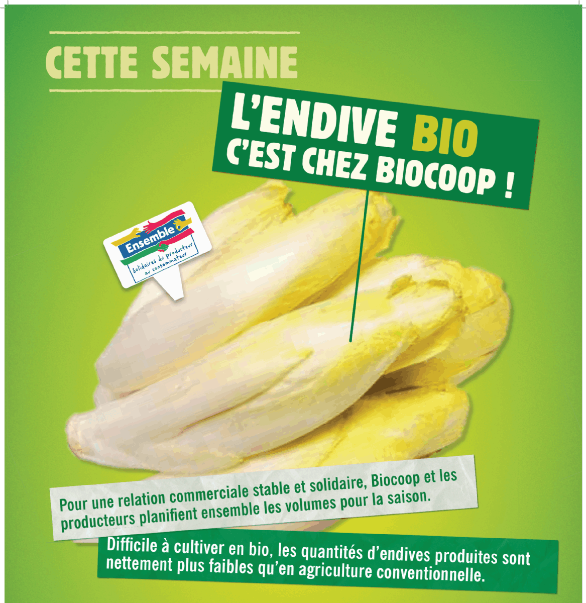 EN MARS, L'ENDIVE BIO, C'EST A BIOCOOP !